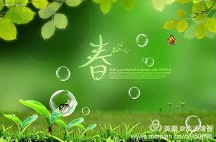 生机勃勃的背景音乐,生机盎然旋律下的美好时光